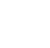 icon2